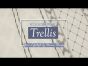Trellis Comforter